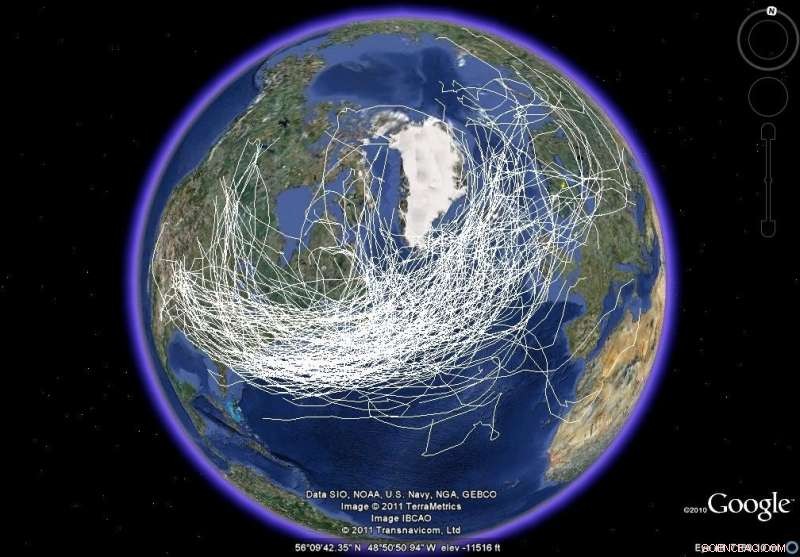 Storm Paths Shift: How Climate Change Alters Weather Patterns