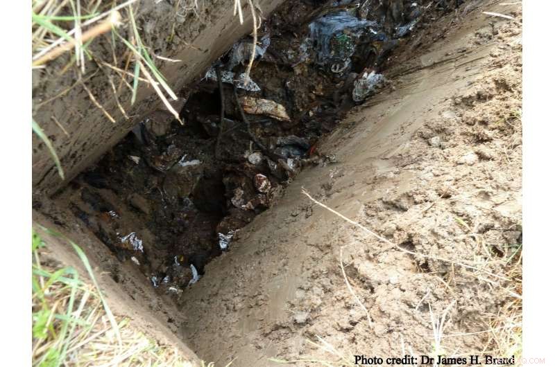 10% of England’s Historic Coastal Landfills Face Erosion Threats – New Study