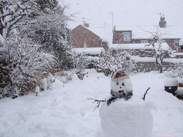 What to Expect from La Niña: How It Shapes U.S. Winter Weather