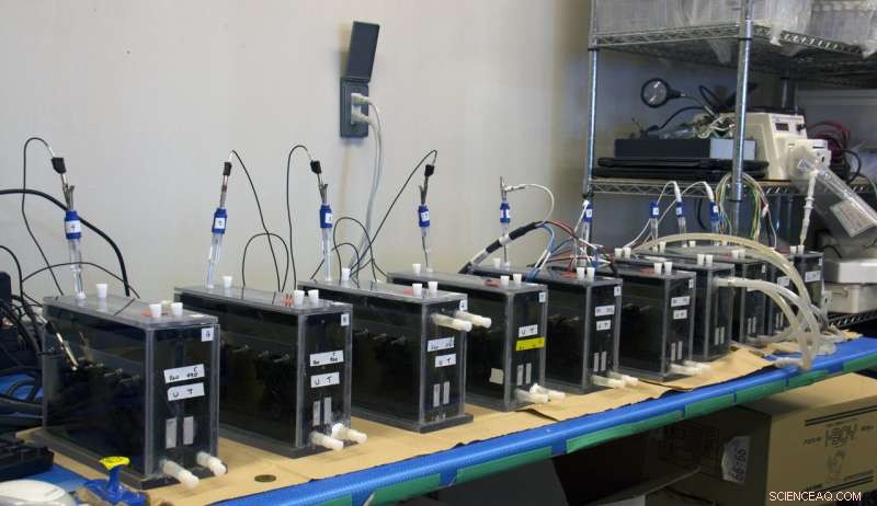 Microbial Fuel Cells Clean Okinawan Pig Farm Wastewater