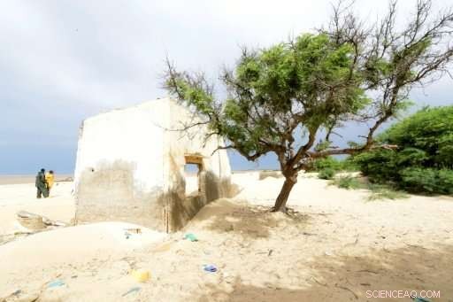 Climate Change and Neglect Endanger Senegal s Saint-Louis: A Call for Urgent Action