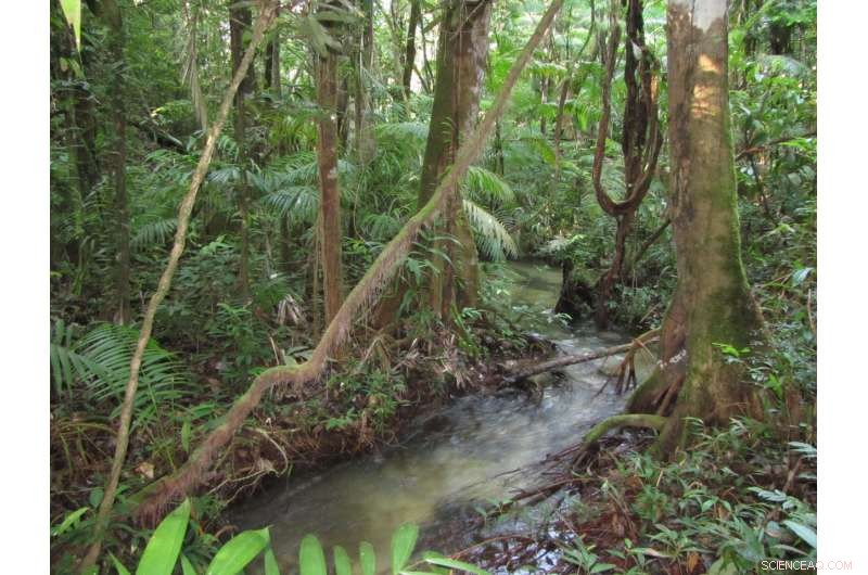 Amazonian Streams Rich in Fish Species Lack Adequate Protection