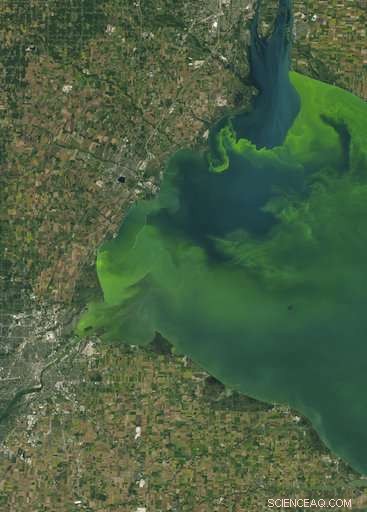 Algae Outbreak Casts Doubt on Voluntary Runoff Prevention Efforts