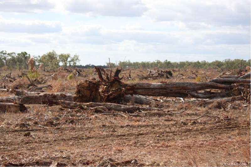 Australia Ranked in Global Top Ten Deforesters – Queensland Takes the Lead