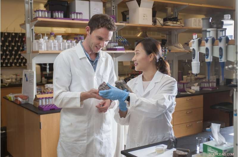 Popular Oxygen‑Tracing Tool May Yield False Positives, Study Finds