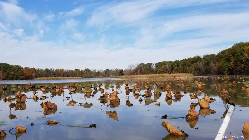 Scientists Identify Key Microbe Driving Methane Emissions in Oxygenated Waters