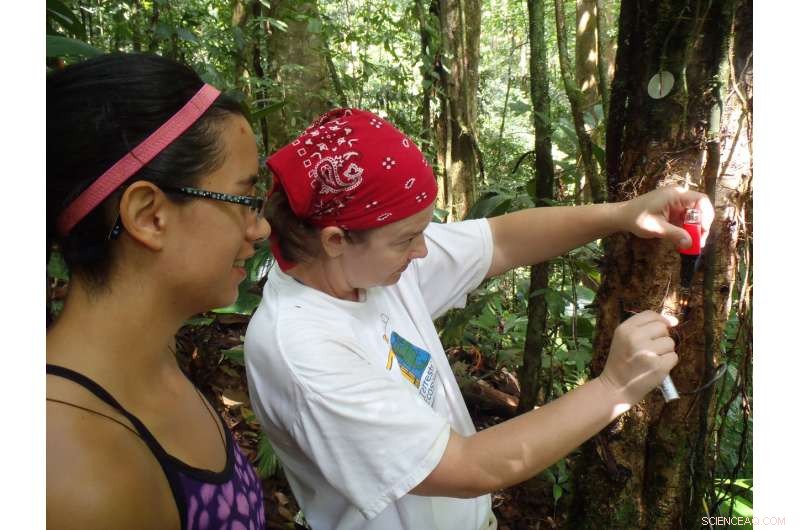 Minor Climate Shifts Influence Optimal Water Use in Plant Communities