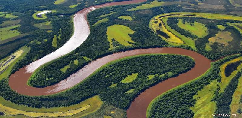 NASA Reveals New Insights into the Hidden Lives of Plants