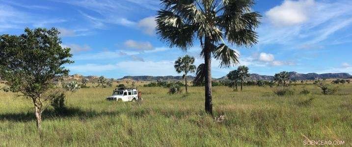 Scientists Challenge Claims of Overlooked Dryland Forests