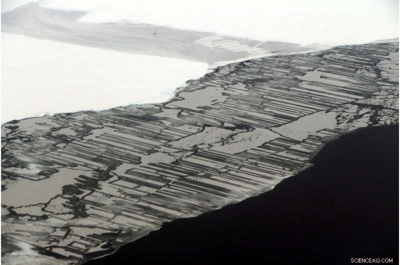 The Stunning Diversity of Ice: Land vs. Sea