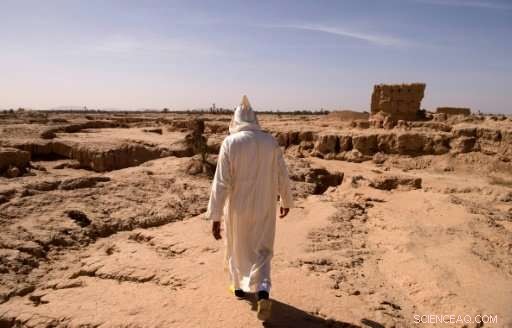 Morocco Organizes Nationwide Prayer for Rain to Support Agriculture