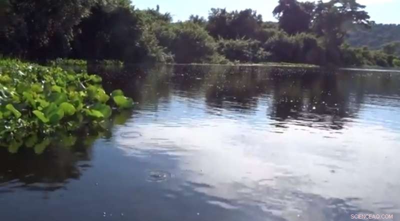 Methane Bubbles: How Rising Temperatures Both Cause and Amplify Greenhouse Gas Emissions