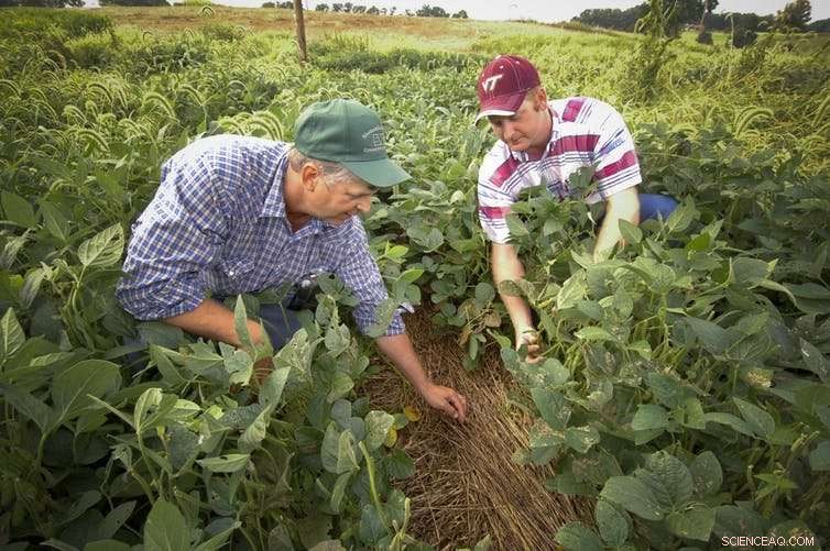 Carbon Farming: A Proven Strategy to Mitigate Climate Change