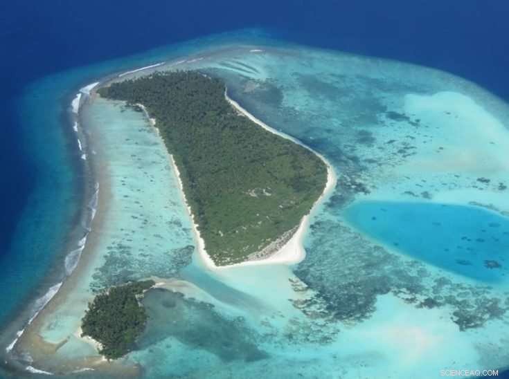 Scientists Develop Flood Prediction Tool for Coral Reef Coasts to Mitigate Climate Impact