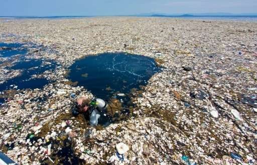 Plastic Trash Islands Near Central America Reveal Growing Ocean Pollution Crisis