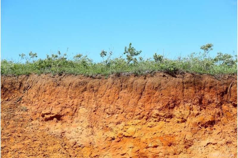 Scientists Warn: Disturbing Sensitive Soils May Amplify Climate Change
