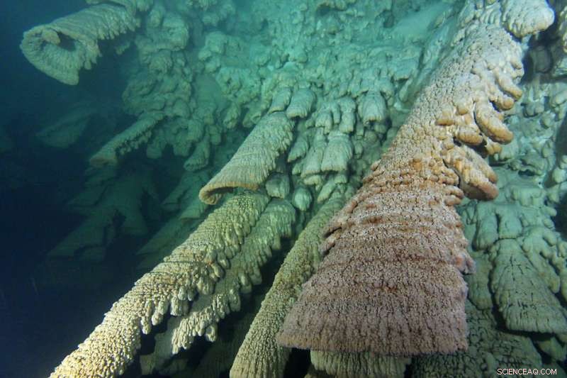 Scientists Investigate Rare Underwater Stalactites Revealing New Geological Insights