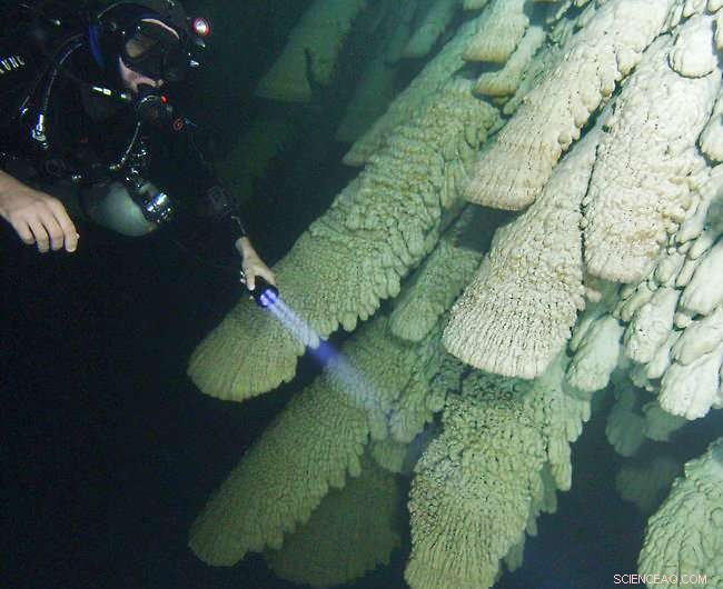 Scientists Investigate Rare Underwater Stalactites Revealing New Geological Insights