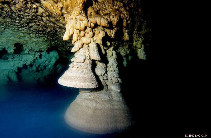 Scientists Investigate Rare Underwater Stalactites Revealing New Geological Insights