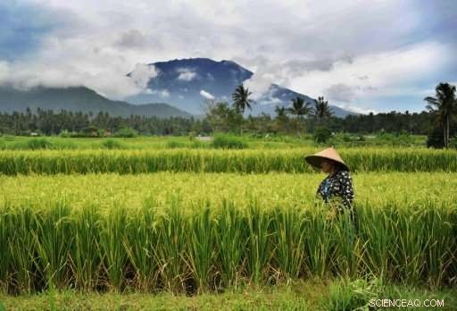 Experts Warn: Bali s Mount Agung Volcano Faces Possible Eruption