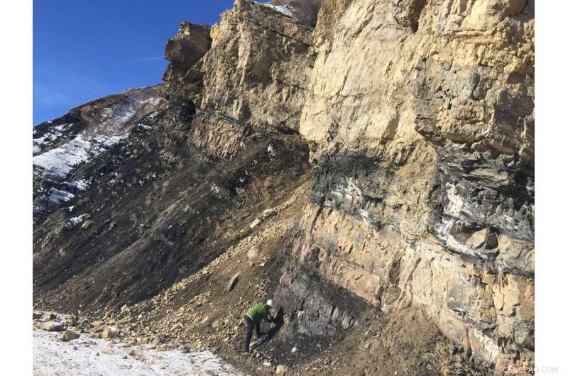 Limited Phosphorus Recycling Stifled Life on Early Earth