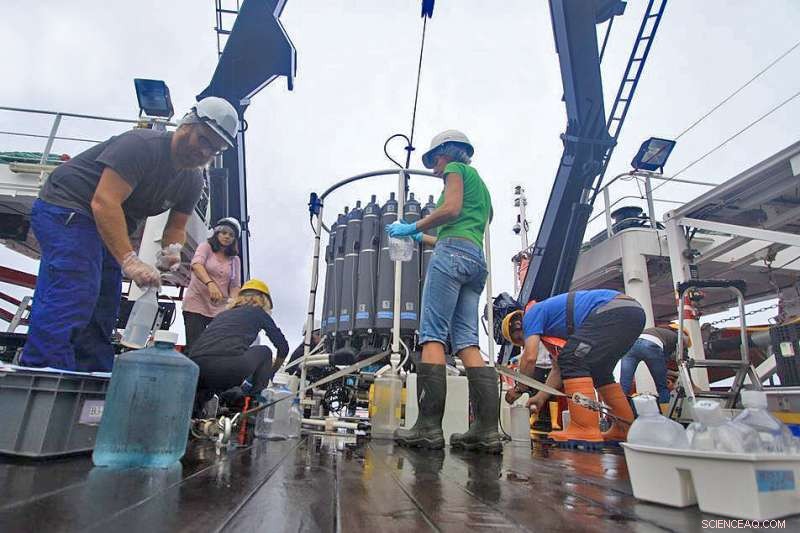 Deep‑Sea Bacteria Found to Significantly Drive Carbon Capture