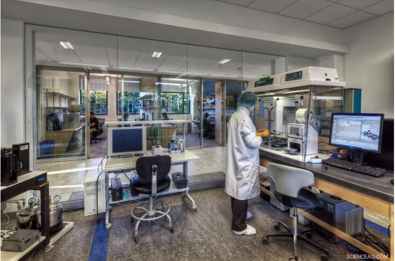 Deep‑Sea Bacteria Found to Significantly Drive Carbon Capture