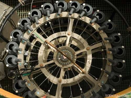 How Turbulence and Nutrient Levels Shape Microbial Dynamics in the Red Sea