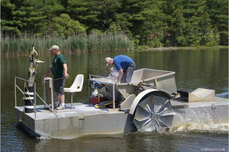 Cranberry Growers Raise Alarms Over Rising Phosphorus Levels