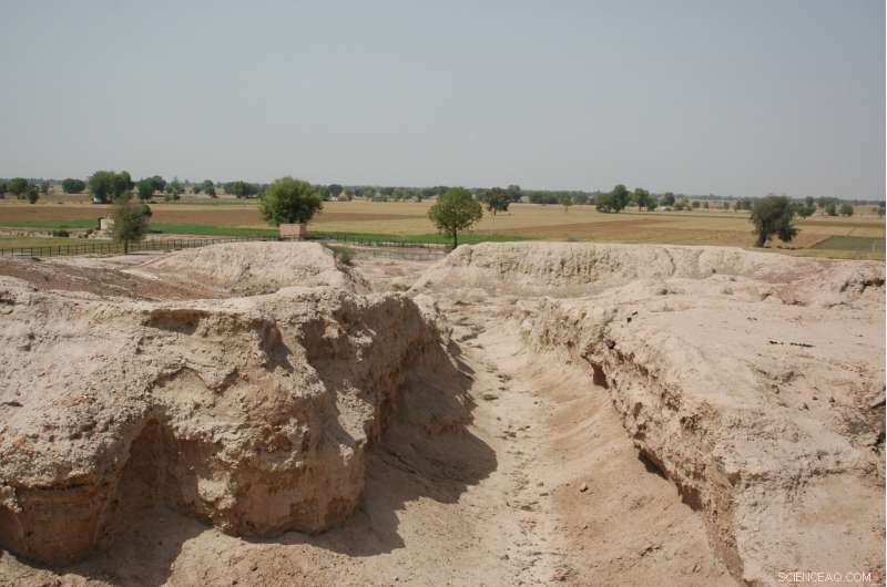 Scientists Uncover Himalayan Rivers  Role in Shaping Ancient Indus Civilization Settlements