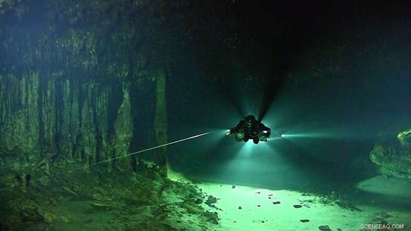 New Study Uncovers Methane-Powered Ecosystem in Yucatan Peninsula s Flooded Caves