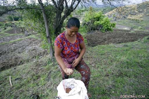 Mass Exodus Amid Mount Agung Eruption: Some Evacuate, Others Stay or Seek the Volcano