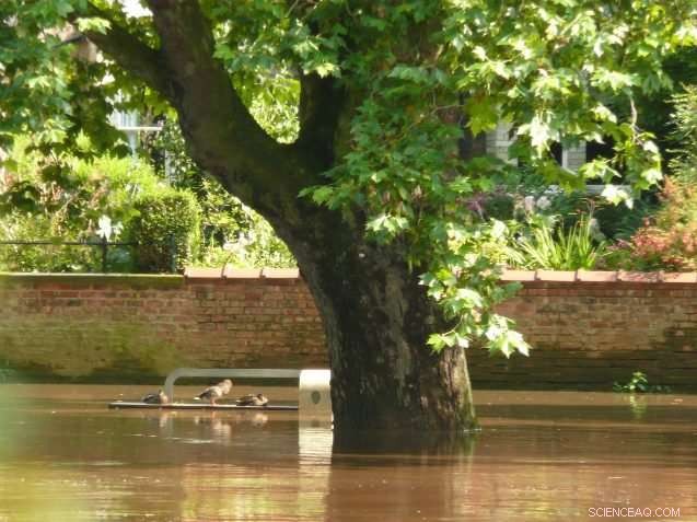 Sunny-Day Floods: The Surprising Science Behind Unexpected Water Surges