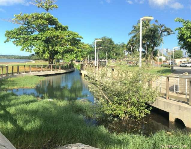 Puerto Rico’s Path to a Sustainable Future: Challenges and Opportunities