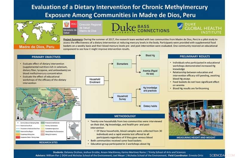 Assessing Mercury Exposure in the Peruvian Amazon: Dietary Interventions and Health Outcomes