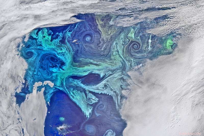 Southern Ocean s Conditions Trigger Global-Scale Phytoplankton Bloom