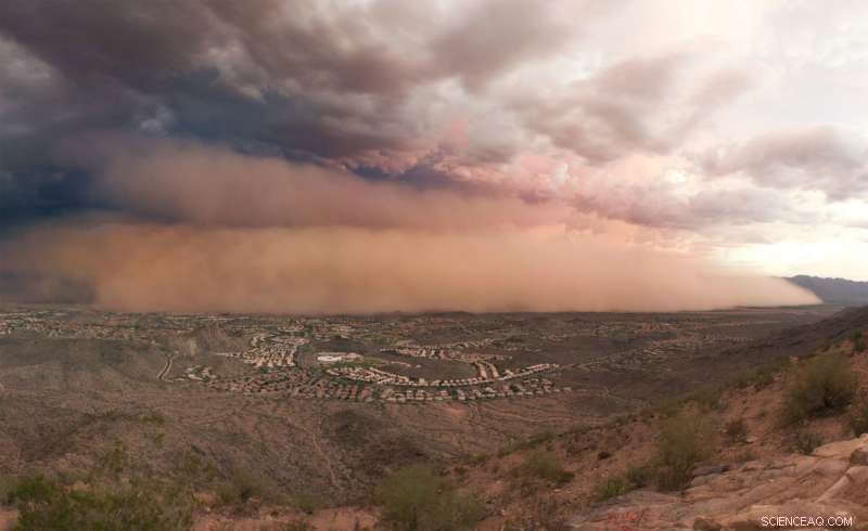 How Dust Shapes Rocky Mountain Ecosystems