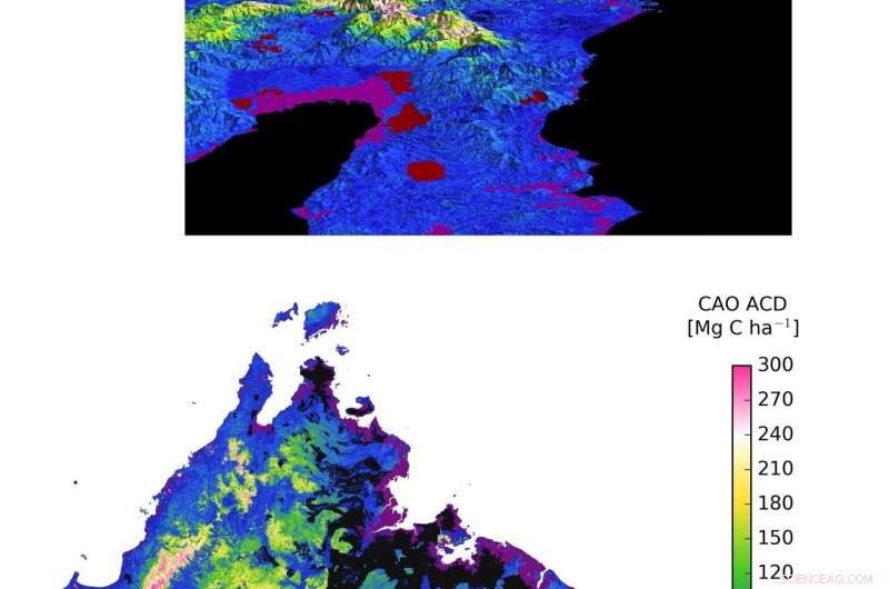 Drone-Based Study Identifies Key Conservation Targets in Borneo s Tropical Forests