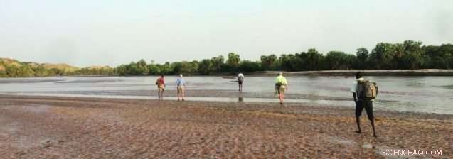 How Climate Shaped Human Evolution: Insights from the Earth Institute