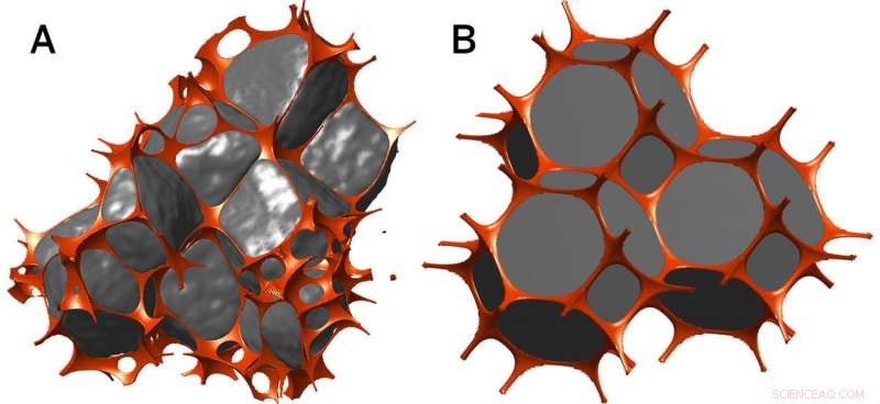 New Research Supports Trickle-Down Theory for Planetary Core Formation