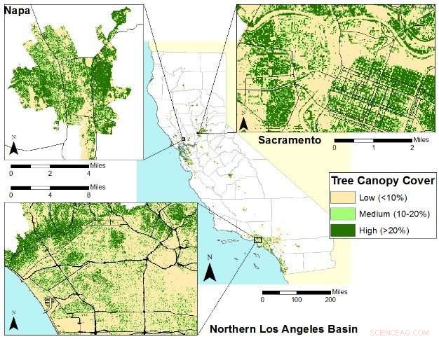 California Falls Behind: Lowest Urban Tree Cover per Capita in the Nation
