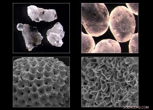 Revolutionizing Soil Science: A Ground-Up Classification Breakthrough