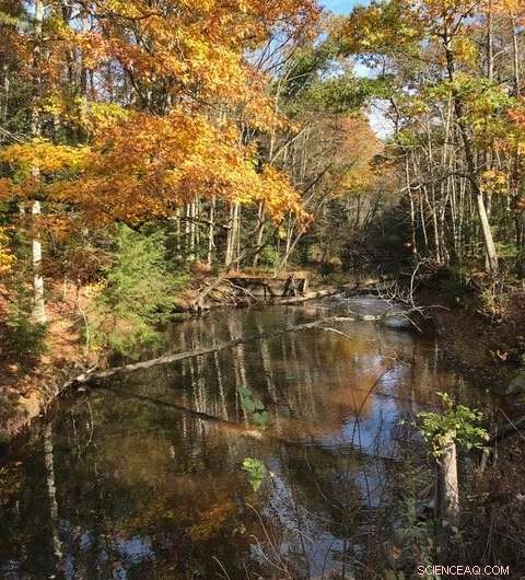 Intense Storms Reduce Streams and Rivers  Ability to Clean Pollution