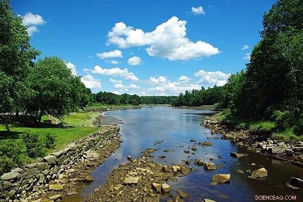 Intense Storms Reduce Streams and Rivers  Ability to Clean Pollution