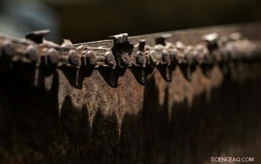 Philippine Rangers Battle Illegal Logging to Protect Palawan’s Forests