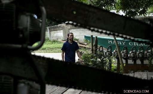 Philippine Rangers Battle Illegal Logging to Protect Palawan’s Forests