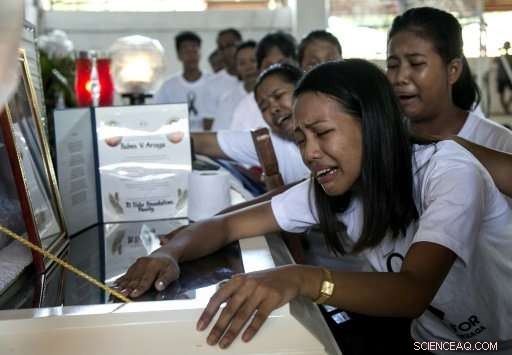 Philippine Rangers Battle Illegal Logging to Protect Palawan’s Forests