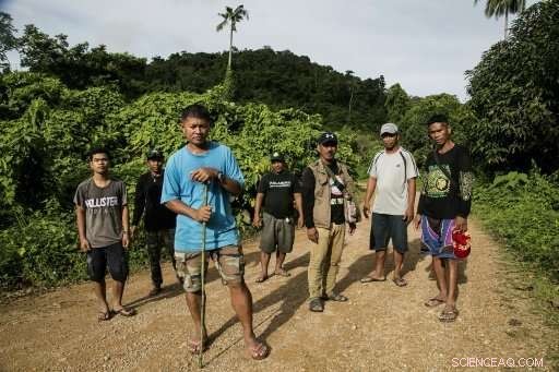 Philippine Rangers Battle Illegal Logging to Protect Palawan’s Forests