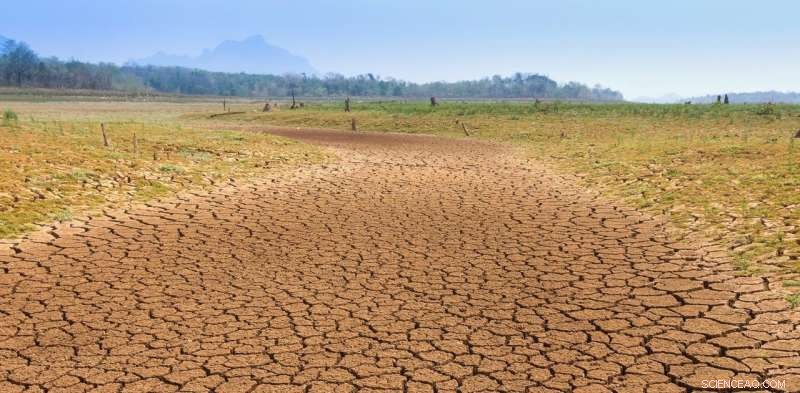 U.S. Cities & States: Pioneering Global Climate Action