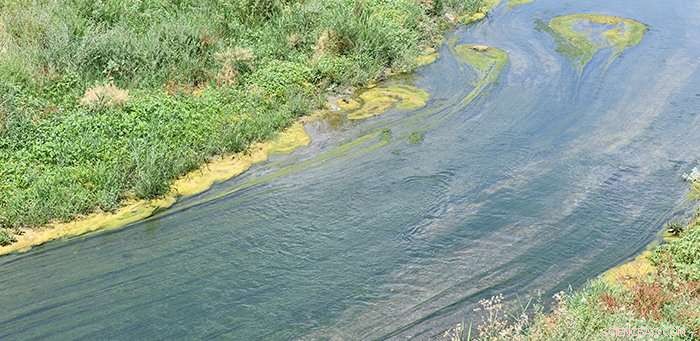 Advanced Tool for Early Detection of Harmful Blue‑Green Algae Blooms